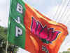 BJP may have used affiliate for 2 state elections, not in LS 2014 polls