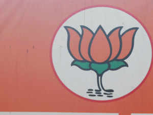 BJP widens gap with Congress in Rajya Sabha