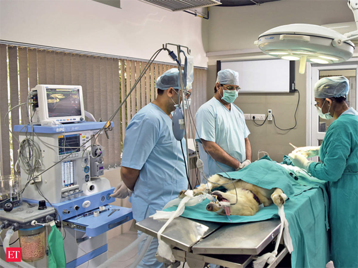 vet hospitals: Pet care comes of age in the country with state-of-the-art vet  hospitals - The Economic Times