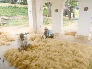 Jute: India may extend anti-dumping duty to jute clothes from