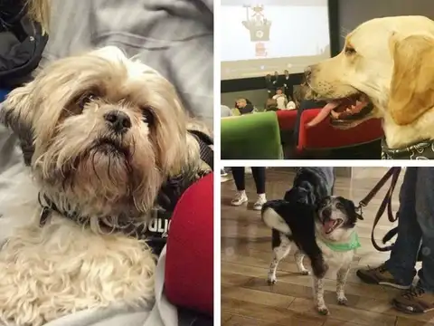 The 'Aww' Moment!
