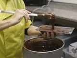 Chocolate production may be harming environment: Study