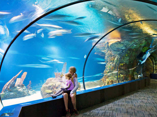 The Henry Doorly Zoo & Aquarium