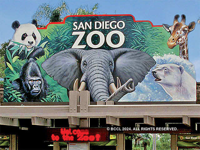 The San Diego Zoo