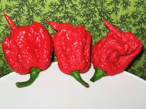 Adding spice