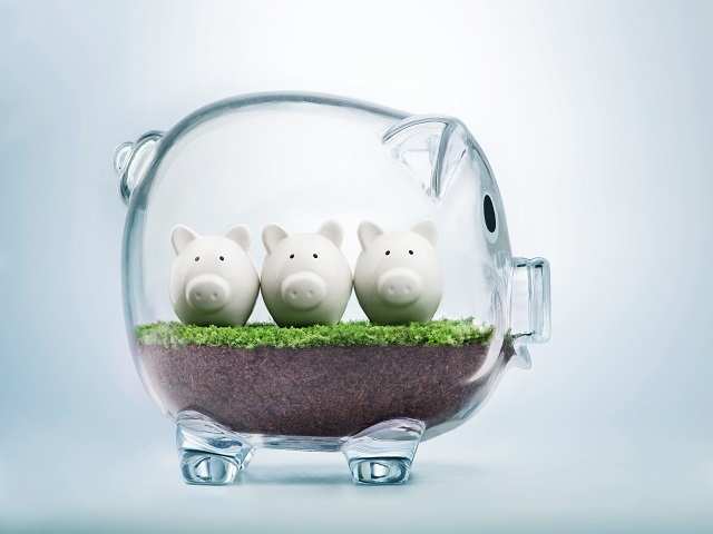 6. Equity Savings Funds