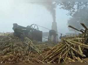 Ghaziabad: A man crushing sugarcanes in a 'Kolhoo' (iron crusher) in the traditi...