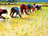 IMD's normal monsoon forecast could put life back in agri-linked stocks
