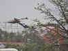 7 dead, several injured as massive storm hits Kolkata, suburbs