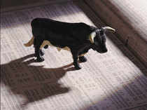 Bull-Market---Think-stock