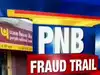 PNB to pay all dues of banks, related to Nirav Modi case, by May-end: Reports