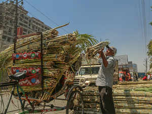 Sugarcane-