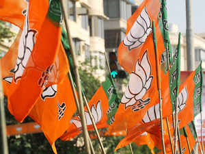 bjp flags-rep