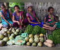 This is what govt should do to safeguard tribals’ trade interests