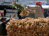 China price dip may hit India’s garlic exports