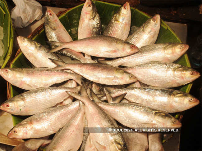 Why Kolkata is witnessing a surge in demand for fish