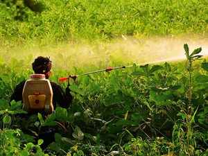 Farm activist urges Centre to ban toxic pesticides