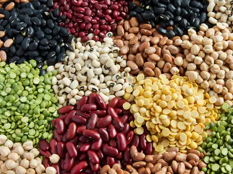 Beans
