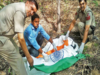 Delhi cops give tricolour burial to peacock, say it's protocol