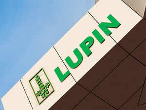 Lupin