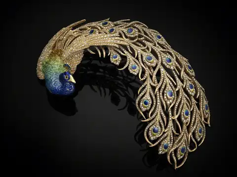 Peacock Aigrette
