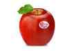 IG International joins hands with Mr Apple to launch premium variety of apples