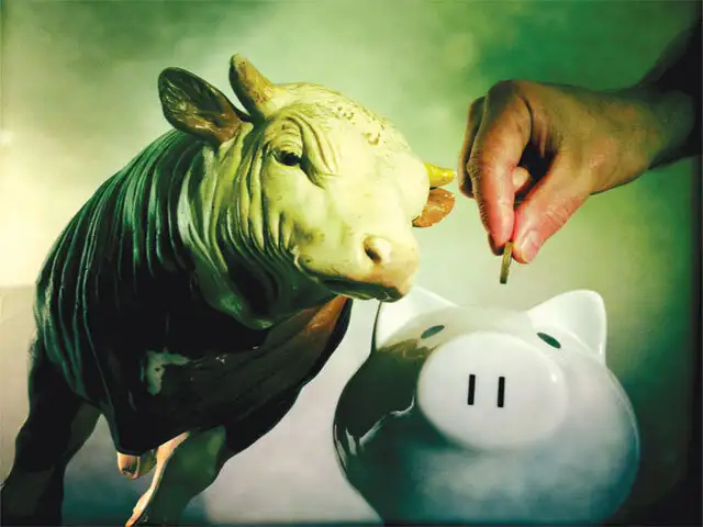 Equity shares or stocks