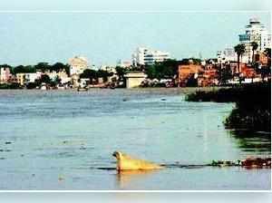 Ganga water