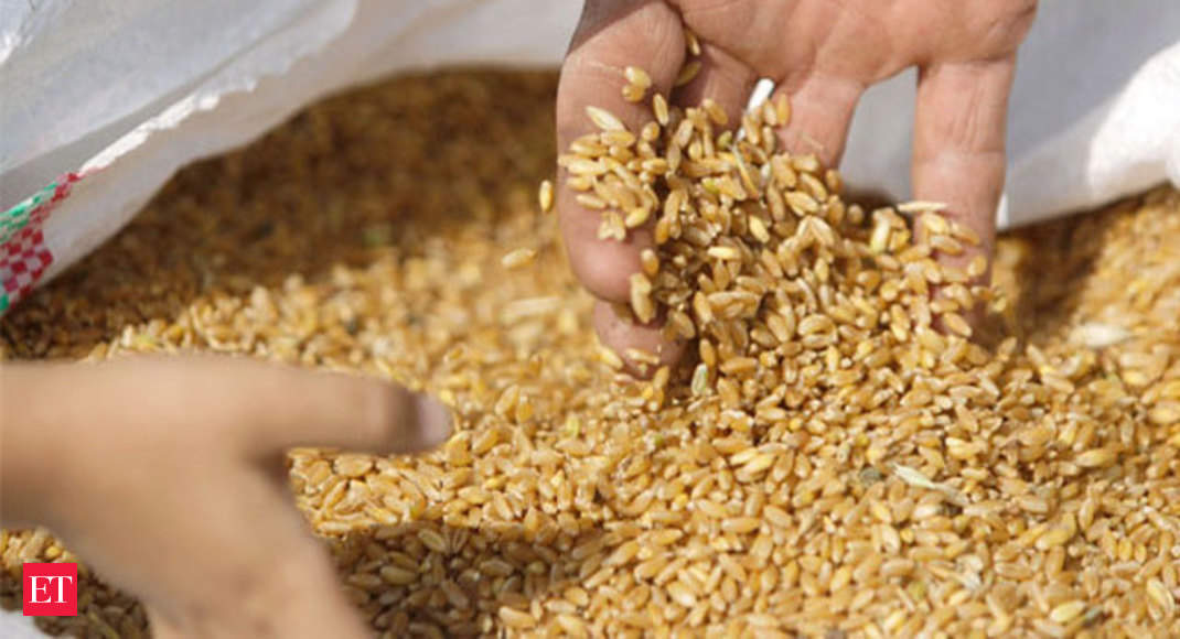Wheat import duty: Government raises wheat import duty to 30% - The ...