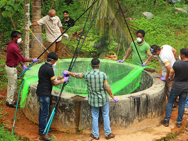 Nipah Virus Lurks In Fruits Go Easy On Mangoes And Lychees This Summer The Economic Times