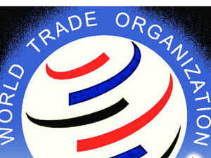 India pitches for WTO talks on checking theft of traditional knowledge