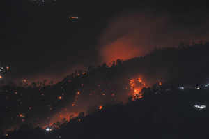 Forest Fires Highest In Five Years In Himalayan Foothills The - wildfires burn through a forest near shimla