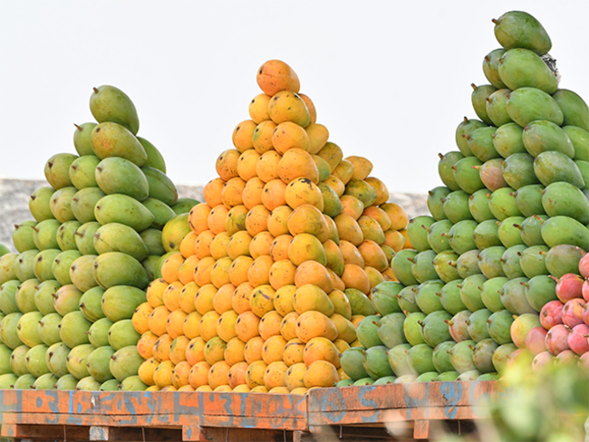 The mango war! The 'aam' party still can't bridge the regional divide - The  Economic Times
