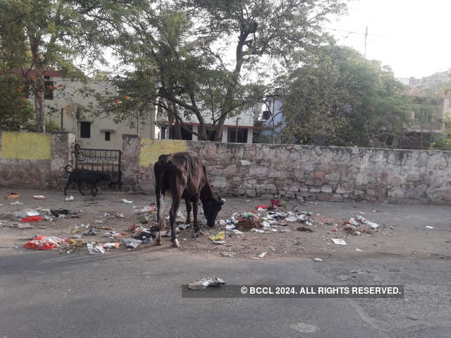 Jaipur