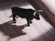 Bull-Thinkstock