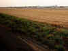 Jewar airport: Rs 4000 crore to be spent on land acquisition