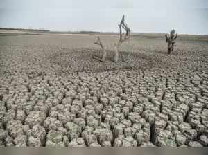 Maharashtra drought TNN