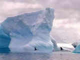 World's largest iceberg set to disappear after 18-year-long journey