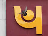 Dues of PNB's wilful defaulters rise to Rs 15,490 crore