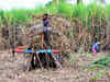 Tamil Nadu sugarcane mills want rescheduling of loan payments