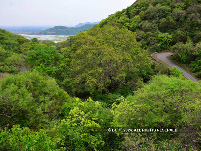 Kondapalli reserve forest_bccl