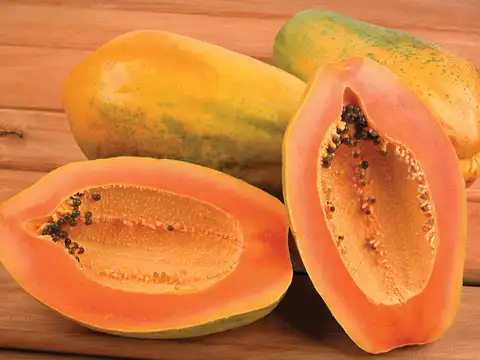 Papaya