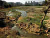 Devarabeesanahalli lake revival hit as sewage flows uninterrupted