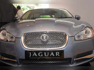 Jaguar_bccl
