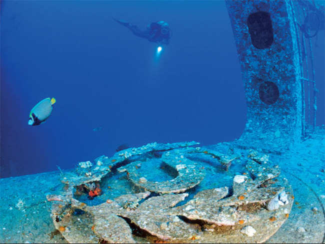 LETTING NATURE TAKE ITS COURSE: A Scuba diver explores the ship wreck of Thistlegorm in Red Sea, Egypt (©GettyImages)