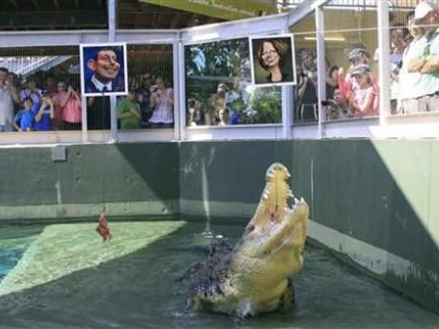 ​​Dirty Harry - The Crocodile