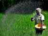 Farmers pay 20% more for fertilisers as raw materials get dearer