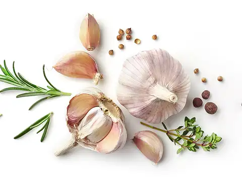 Garlic