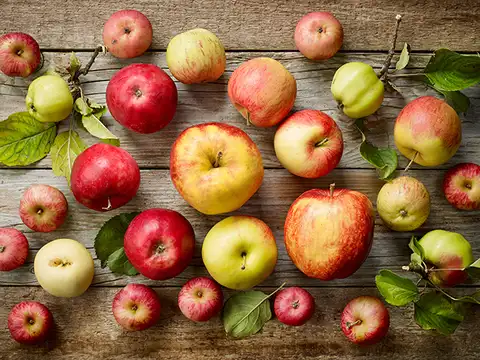 Apple