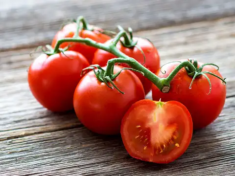 Tomatoes